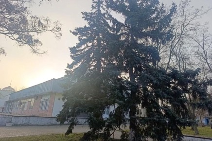 3 �����, ������� ������� ������� ��������������� �������� ������