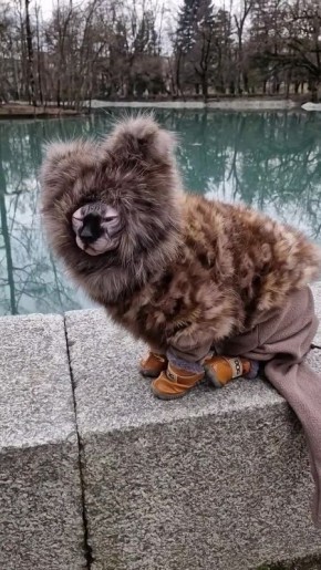 Друзья, что вы знаете о работе под прикрытием?