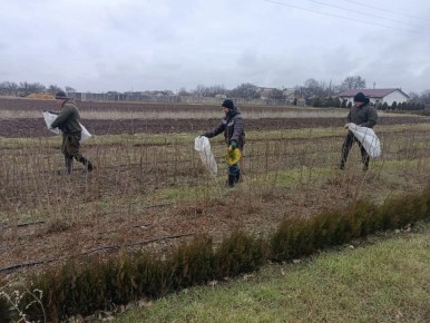 ���������� ������������� ������� ������� ������ ���������� ������� ���������