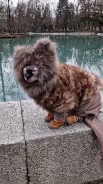 ������, ��� �� ������ � ������ ��� ����������?