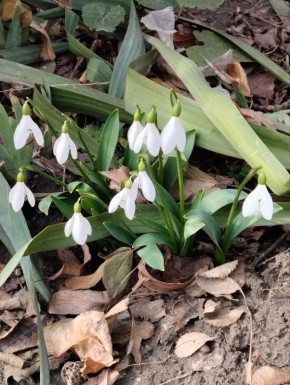 Доброго утра, друзья! Надежды на лучшее и оптимизма не смотря ни на что