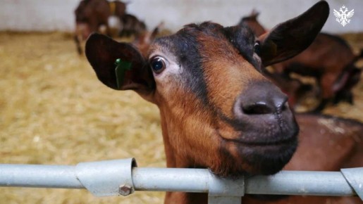 ����� ���������� ��� �������� ����� ���������� ��� � ������������ ���������