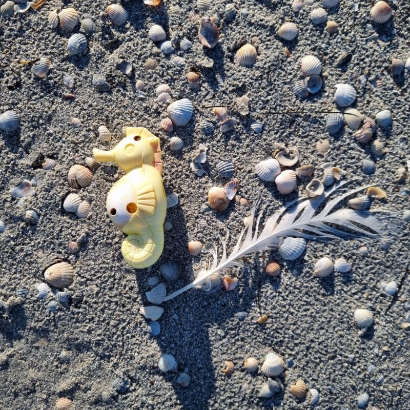 ��� ���, �� � �������� ����