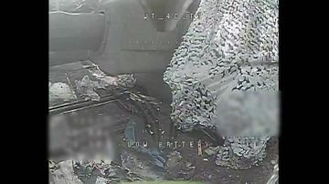 ��������������� �����������