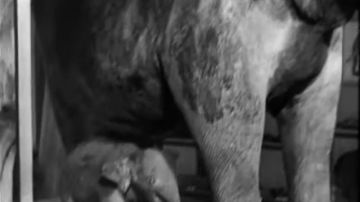 ������� ����������!. ������� ����� �� ����������� ��� ��� 5 ����� ������� ����������� ��������� ������