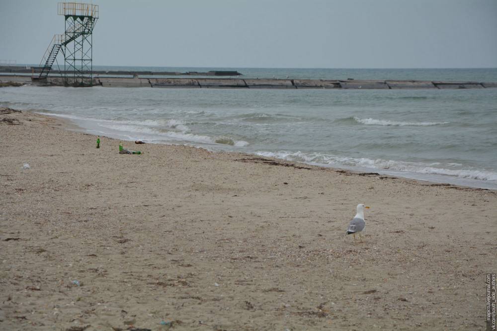 Доброе утро, Херсонщина!. С мангалов пахнет шашлыком Доброе утро, Херсонщина!. С мангалов пахнет шашлыком