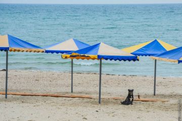 Доброе утро, Херсонщина!. С мангалов пахнет шашлыком