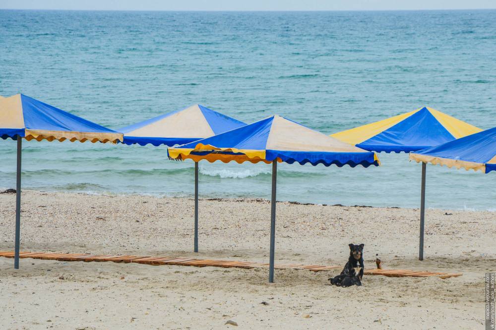 Доброе утро, Херсонщина!. С мангалов пахнет шашлыком