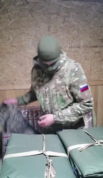 ���� ���������: ������� ������, ����������, ��� � �� ����������� ����������� �� ��������� �������� ��� �������, ������� ����� �� ���������� ��������