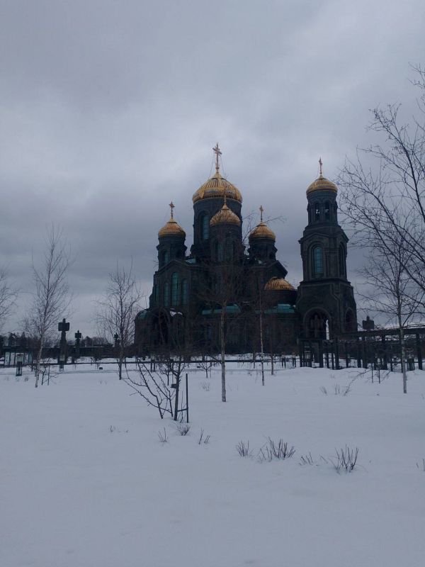 Активистка Движения Первых Строгановской школы побывала в храме Вооруженных сил РФ Активистка Движения Первых Строгановской школы побывала в храме Вооруженных сил РФ