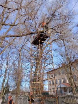 ������������: ������ �� ������ ����������� ������