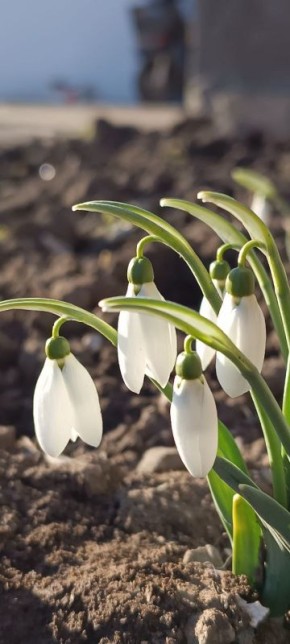 ������ ����, ������� ������ ������ �������������� ������!