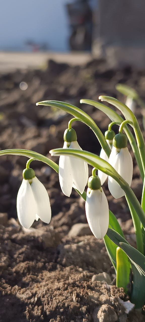 Доброе утро, дорогие жители нашего муниципального округа!