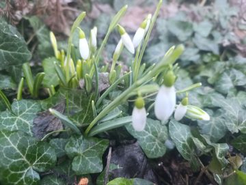 ������ ����, ������ � ����� ����������� ������!