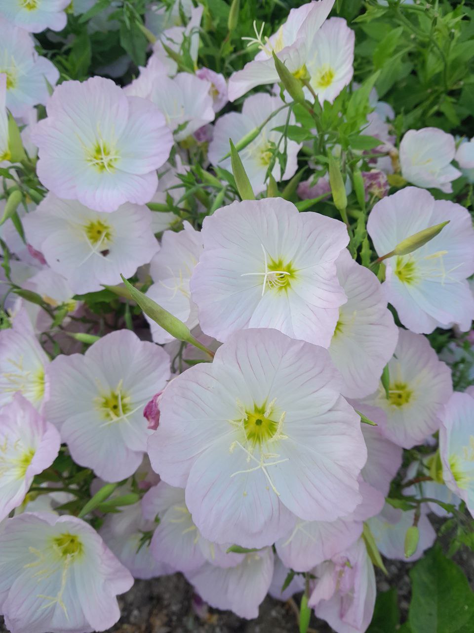 Юлия Семякина: Доброе утро, жители и гости Генического муниципального округа! Юлия Семякина: Доброе утро, жители и гости Генического муниципального округа!