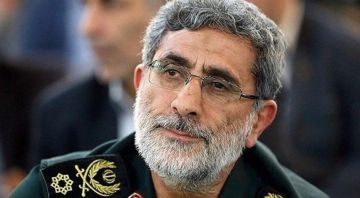 ������� ������ �������� ����� ����