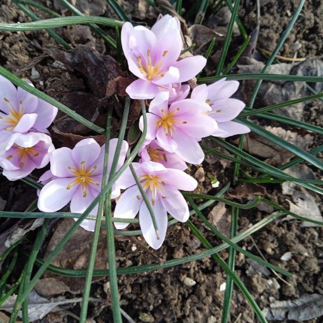 Юлия Семякина: Доброе утро, жители и гости Генического муниципального округа! Юлия Семякина: Доброе утро, жители и гости Генического муниципального округа!