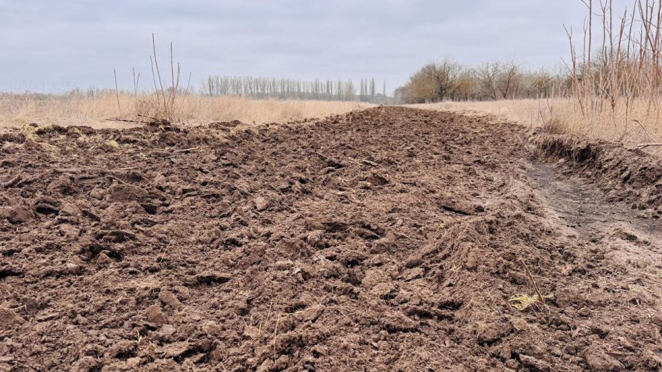 Голопристанский лесхоз готовит почву для посадки Крымской сосны Голопристанский лесхоз готовит почву для посадки Крымской сосны