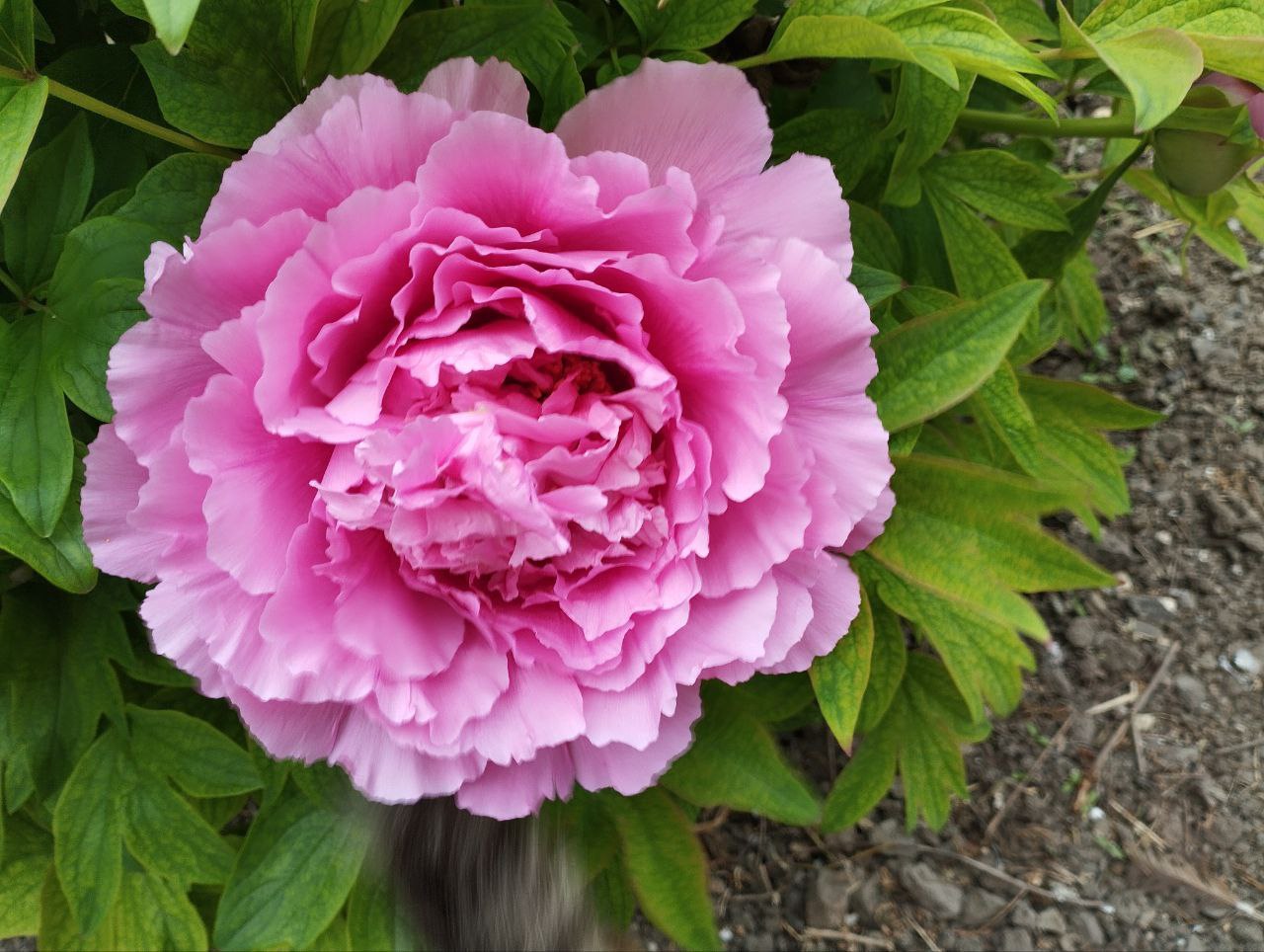 Юлия Семякина: Доброе утро, жители и гости Генического муниципального округа! Юлия Семякина: Доброе утро, жители и гости Генического муниципального округа!