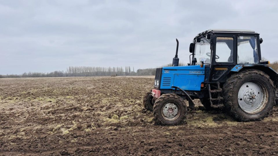 Голопристанский лесхоз готовит почву для посадки Крымской сосны Голопристанский лесхоз готовит почву для посадки Крымской сосны