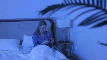 ���� ����� ������ ���������� �����