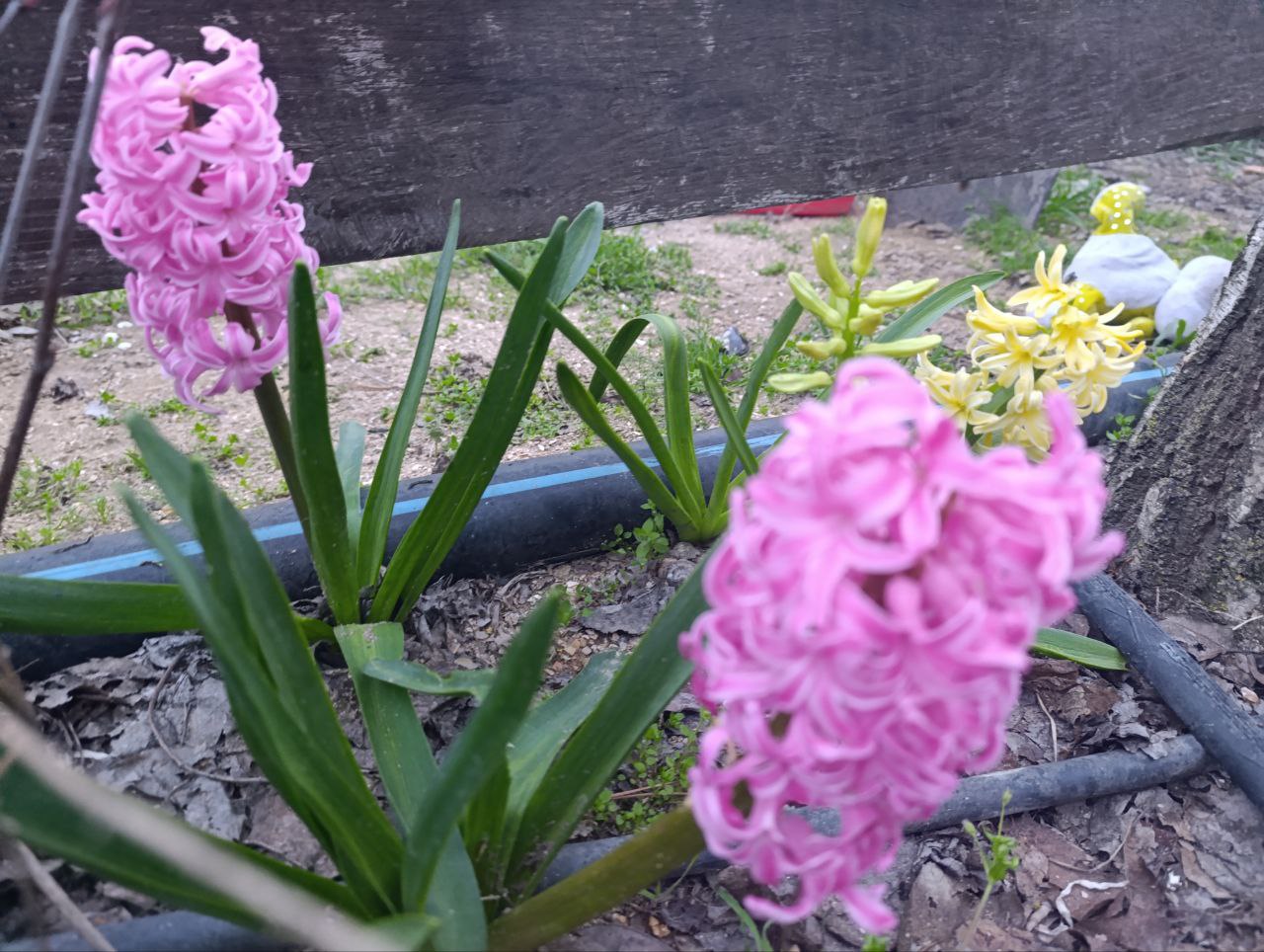 Юлия Семякина: Доброе утро, жители и гости Генического муниципального округа! Юлия Семякина: Доброе утро, жители и гости Генического муниципального округа!