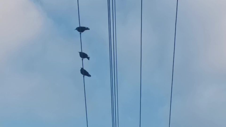 ���� ��������: ������ ����, ������ � ����� ����������� ������!