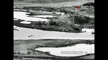 ������. ������� ����