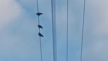 ���� ��������: ������ ����, ������ � ����� ����������� ������!