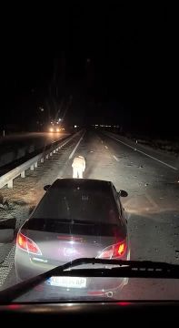 ���� ���� �� ������ �� ����������������