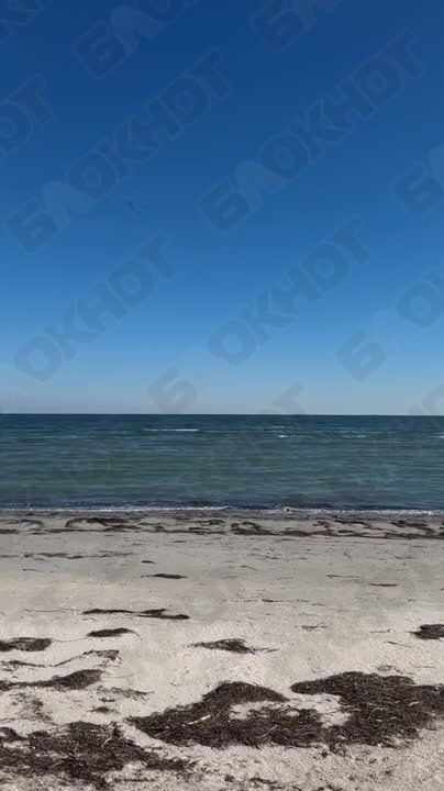 ���� � �������� �������� �� ������