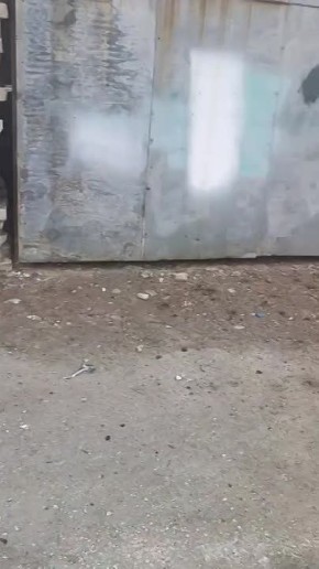 ��� ���������� ������ ������������� ������� � �����������