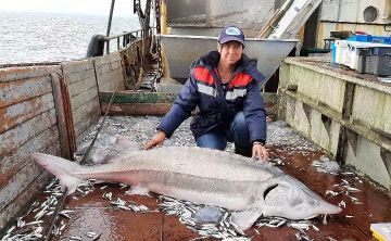 ������ ������� �� 20 ��� ���������� � �������� ���� ��������� ��������� ������