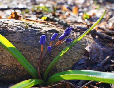 ������� ������� � �����