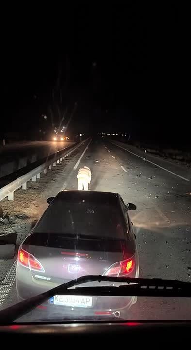 Дрон упал на трассу на Днепропетровщине