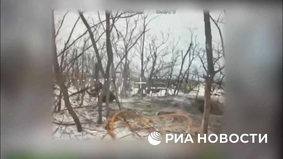 ������������� ����������� ������ ����������� ����� "�����" ������� ����� ������ �� �������� ��� � �������� ���� ���������� �������� � ����������� �������