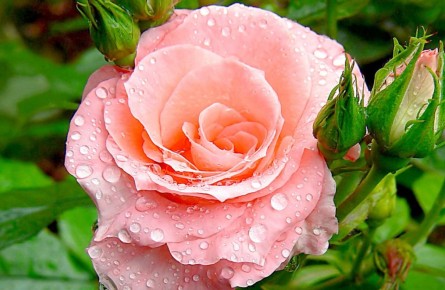 � ������������� ������� ���� 8 �����!