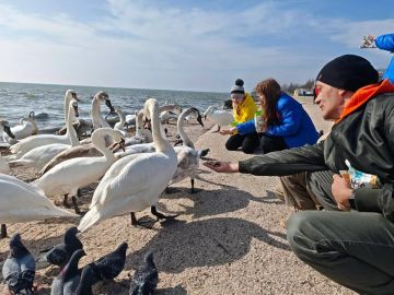 ����������� ����������� ��������������� ��������� ������� ������� �� ���������