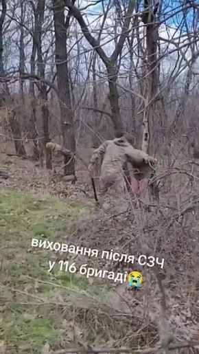 � 116 ��� ��� ��������� �� ��� ������ ��������� � �������� � ������