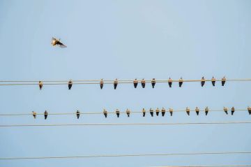 � ���������� ������� +15 �������� � ���������� ������� 10 �����