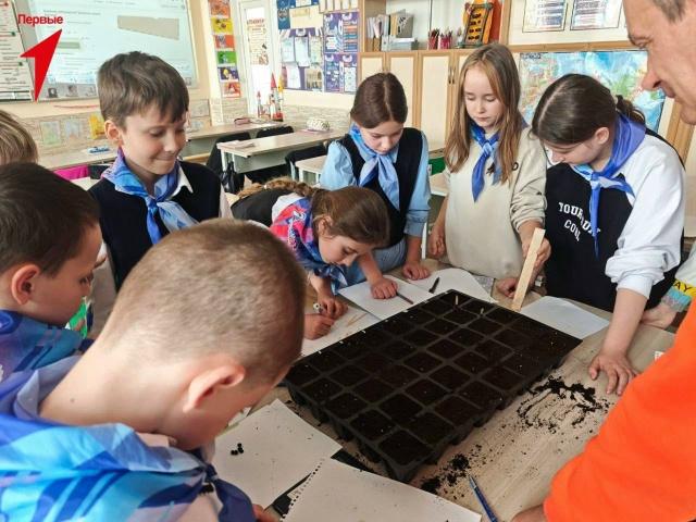 «Орлята России» из Скадовской школы №1 присоединились к экологической акции «Орлята России» из Скадовской школы №1 присоединились к экологической акции