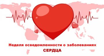 �������� ���� ������: �������� ������� � ����� ������������