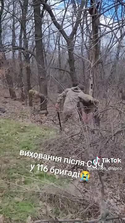 С просторов украинского Тик-Тока