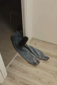 ����� ������� ������� �� �� �������