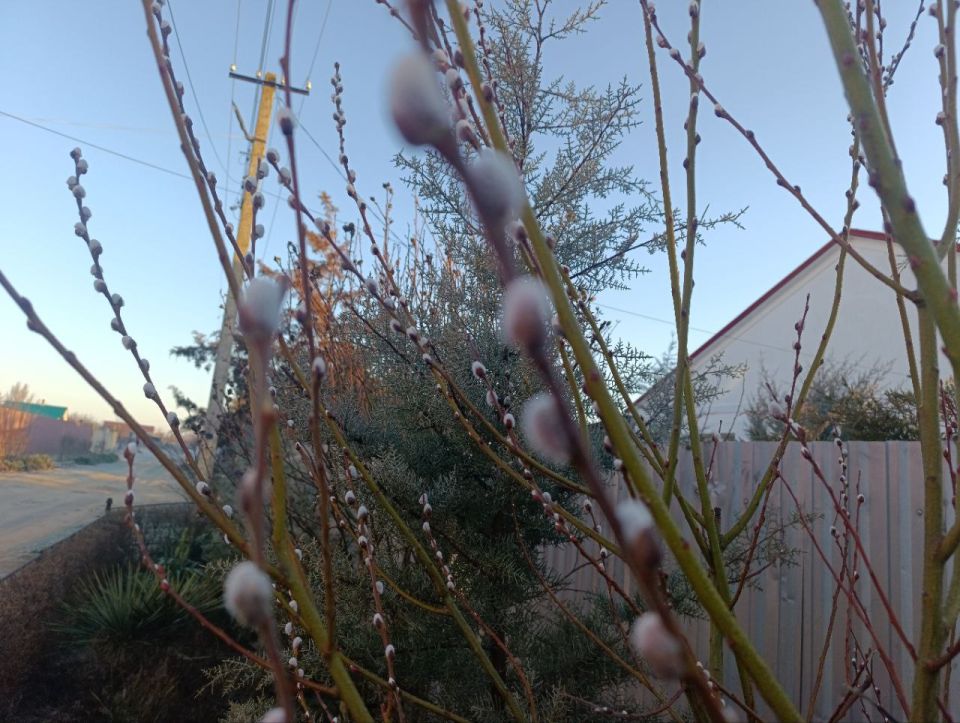 Доброе утро, жители и гости Генического округа!