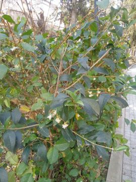 ������ ����, ������ ���������� ������!