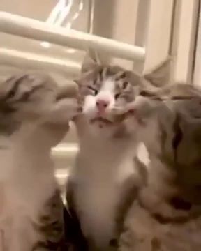 ��������. #���� @NSDVKhersone �����������