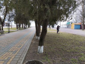 � ��������� ������������ ���������� ������ ������: ����������� ������� �������