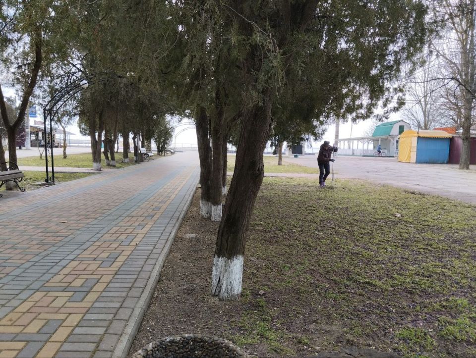 В Скадовске продолжается масштабная уборка города: «Джарылгач» наводит чистоту В Скадовске продолжается масштабная уборка города: «Джарылгач» наводит чистоту