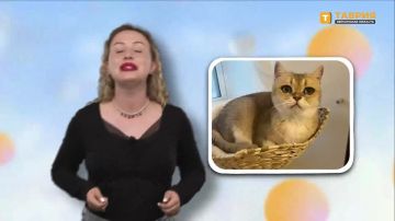 "���������� ����" � �������� ������������ �������� �� ����� ����